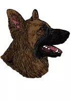 Vorschau - selbst erstellte Cliparts/Grafiken - Deutscher Schäferhund Tiermotiv (Bildkarte, Poster Malen & Zeichnen, Malvorlagen, Tiere Kunst) - Deckblatt