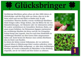 Vorschau - Arbeitsblätter - Glücksbringer und ihre Bedeutung - Seite 1