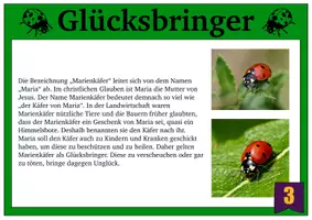 Vorschau - Arbeitsblätter - Glücksbringer und ihre Bedeutung - Seite 3