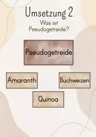 Vorschau - Stundenentwürfe - Tafelbild Getreidesorten im Überblick: Getreide, Weizen, Roggen, Hafer, Gerste, Mais, Reis, Hirse - Seite 3