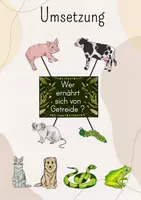 Vorschau - Stundenentwürfe - Tafelbild Wer ernährt sich von Getreide? Tiere, Getreideernährung, Futter, Getreidefutter - Seite 2