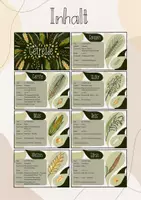 Vorschau - Stundenentwürfe - XXL Materialpaket Getreide: 8 Tafelbilder, Wissenskartei, Puzzle, Legekreis, Klammerkarten, Lernfächer, Lernmatrix, Experimente/Versuche Keimung, Arbeitsblätter - Seite 2