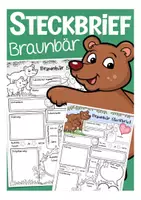 Vista previa - Hojas de trabajo - Steckbrief Deutsch / Alemán Braunbär - Portada
