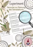 Vorschau - Stundenentwürfe - Experimente/ Versuche zur Keimung des Getreidekorns, Forschen, Forscherschritte, Versuchsaufbau, Experimentendurchführung - Deckblatt