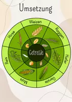 Vorschau - Stundenentwürfe - Legekreis Getreide/ Getreidesorten Weizen, Roggen, Hafer, Gerste, Mais, Reis, Hirse - Seite 2