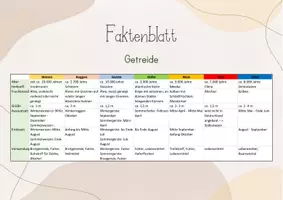 Vorschau - Stundenentwürfe - Lernmatrix/ Lernpuzzle Getreide. Weizen, Roggen, Hafer, Gerste, Mais, Reis, Hirse - Seite 3