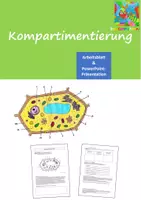 Vorschau - Arbeitsblätter - Kompartimentierung (Zelle, Abitur) - Deckblatt