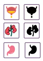 Vista previa - Juegos / Gamificación - Trío de tarjetas del cuerpo humano. - página 2