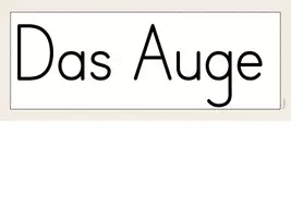 Vorschau - Präsentationen/Tafelbilder - Das Auge - Tafelmaterial - Seite 3