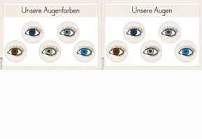Vorschau - Präsentationen/Tafelbilder - Sinne Fotosammlung - Unsere Augen - Augenfarben - Seite 1