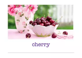 Aperçu - Inclusion - fruits and vegetables flash cards English Anglais - Page 3
