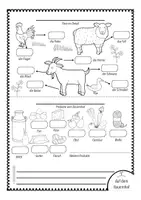 Aperçu - Feuilles d'exercices - Bildwörterbuch Tiere / Bauernhof - Page 3