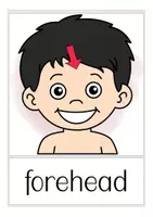 Aperçu - Présentation / Support pour le tableau - body parts English flash cards - Page 3