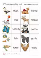 Aperçu - Jeux - ZOO animals English matching cards Anglais - Page 3