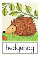 Aperçu - Cartes / Images - autumn / fall picture word cards / flash cards - Page 1
