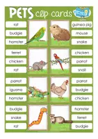 Aperçu - Cartes d'exercices - PETS English clip cards Anglais - Page 3
