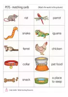 Aperçu - Jeux - pets / animals English Anglais matching cards - Page 2