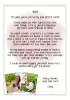 Aperçu - Cartes / Images - FREEBIE pets / animals English flash cards - Page 1