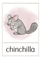 Aperçu - Cartes / Images - FREEBIE pets / animals English flash cards - Page 2