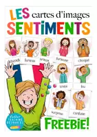 Aperçu - Présentation / Support pour le tableau - les sentiments cartes d'images français FREEBIE (gratuit) - Page de couverture