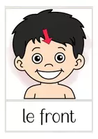 Aperçu - Cartes / Images - le corps cartes d'images français (flash cards) - Page 3