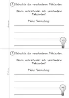 Vorschau - Arbeitsblätter - Forscherheft Getreide- Wir untersuchen unterschiedliche Mehlsorten - Seite 2