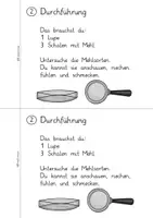 Vorschau - Arbeitsblätter - Forscherheft Getreide- Wir untersuchen unterschiedliche Mehlsorten - Seite 3