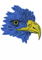 Vorschau - selbst erstellte Cliparts/Grafiken - Adler Tiermotiv (Bildkarte, Poster Malen & Zeichnen, Malvorlagen, Tiere Kunst) - Deckblatt