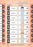Vorschau - Fördermaterial/Inklusion - Deutsch als Zweitsprache – Grundwortschatz Band 1: Mensch, Outfit, Wohnung | DaZ Grundschule Sekundarstufe Klasse 3–13 | Wörterkartei, Differenzierung, Vorbereitungsklasse, Lösungen - Seite 2