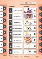 Vorschau - Fördermaterial/Inklusion - Deutsch als Zweitsprache – Grundwortschatz Band 1: Mensch, Outfit, Wohnung | DaZ Grundschule Sekundarstufe Klasse 3–13 | Wörterkartei, Differenzierung, Vorbereitungsklasse, Lösungen - Seite 3