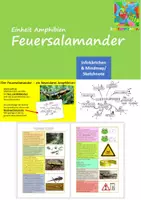 Vorschau - Arbeitsblätter - Feuersalamander (Einheit Amphibien) - Deckblatt