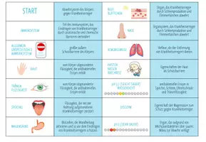 Vorschau - Stationenlernen - Immunsystem – 7x Spiele und Aktivitäten (Abitur) - Seite 2