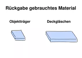 Vorschau - Aufgabenkarten - BIOLOGIE: Organisationskarten für Mikroskopieren - Seite 3