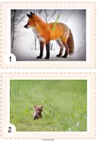 Vorschau - Arbeitsblätter - Lesespaziergang Fuchs - Seite 1