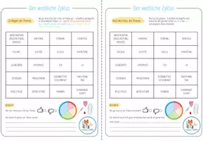 Vorschau - Arbeitsblätter - Menstruationszyklus - Lernwand - Seite 2