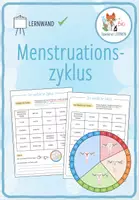Vorschau - Arbeitsblätter - Menstruationszyklus - Lernwand - Deckblatt