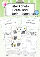 Vorschau - Arbeitsblätter - Steckbriefe Laub-und Nadelbaum - Deckblatt