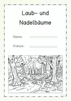 Vorschau - Arbeitsblätter - Steckbriefe Laub-und Nadelbaum - Seite 1