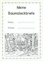 Vorschau - Arbeitsblätter - Steckbriefe Laub-und Nadelbaum - Seite 3