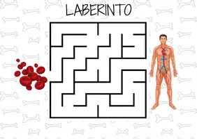 Vista previa - Hojas de trabajo - Material y recursos: El cuerpo humano. - página 2