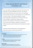 Vorschau - Stundenentwürfe - Würfelvierlinge - Unterrichtsentwurf Mathematik - Seite 1