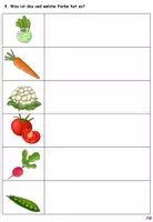 Vorschau - Test - Test "das Gemüse" 2fach Differenzierung- DaZ - Seite 3
