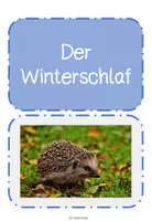 Vorschau - Präsentationen/Tafelbilder - Tafelkarten Tiere im Winter - Seite 2