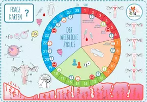Vorschau - Spiele - Menstruationszyklus - Brettspiel Quiz - Seite 1