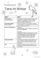 Vorschau - Stundenentwürfe - Lernwerkstatt Tiere im Winter 2./3. Klasse (2-fach differenziert) - Seite 1