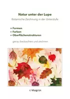 Vorschau - Arbeitsblätter - HERBSTBLÄTTER - UND FRÜCHTE: Botanische Zeichnung Unterstufe - Deckblatt