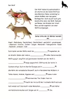 Vorschau - Stundenentwürfe - Der Wolf Texte Grafik Steckbrief Aufgaben Lösungen - Seite 1