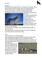 Vorschau - Stundenentwürfe - Der Wolf Texte Grafik Steckbrief Aufgaben Lösungen - Seite 3