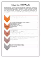 Vorschau - Merkblätter - Methodenmerker | (Wahl-)Plakatanalyse - Geschichte - Seite 2