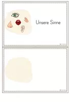 Vorschau - Arbeitsblätter - Unsere fünf Sinne - Differenzierte Arbeitsblätter - Klasse 1 & 2 - Seite 1